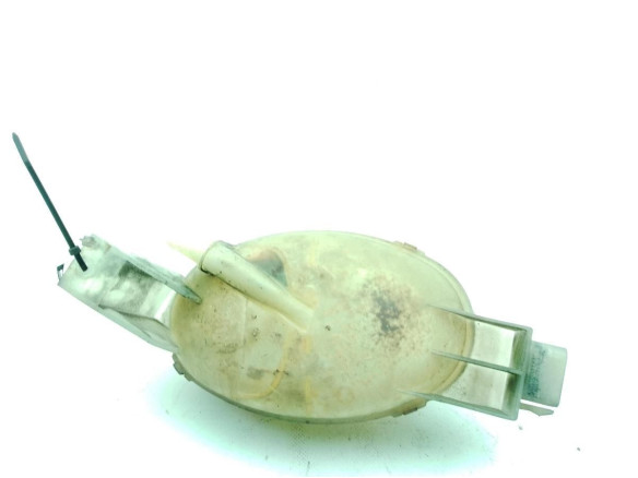 217100015R BOTE EXPANSOR RENAULT MASTER III Furgón (FV)|Desguaces La Cabaña