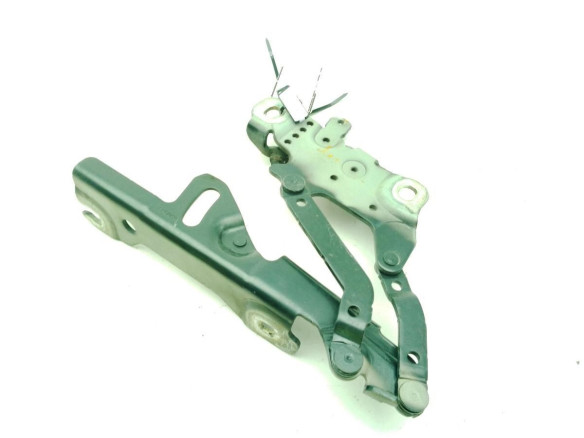7336700 , 13989610 BISAGRA CAPO DER BMW 4 Gran Coupe (F36)|Desguaces La Cabaña