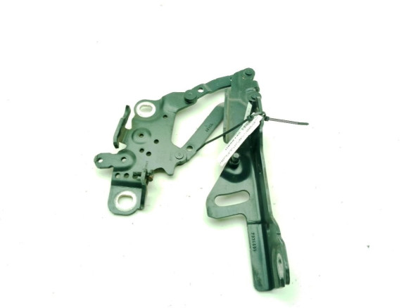 13989610 BISAGRA CAPO IZQ BMW 4 Gran Coupe (F36)|Desguaces La Cabaña