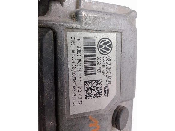 03C906024BK CENTRALITA MOTOR SEAT IBIZA IV (6J5, 6P1)|Desguaces La Cabaña