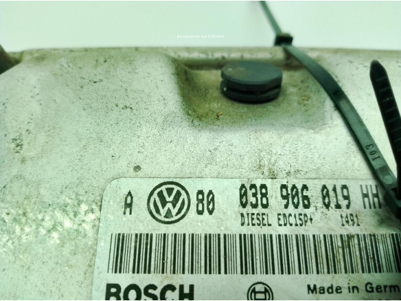 038906019HH CENTRALITA MOTOR VW GOLF IV (1J1)|Desguaces La Cabaña
