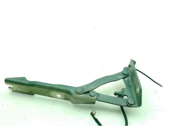 BISAGRA CAPO DER BMW 5 (E60)|Desguaces La Cabaña