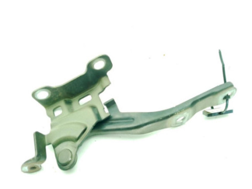 BISAGRA CAPO IZQ KIA SOUL (AM)|Desguaces La Cabaña