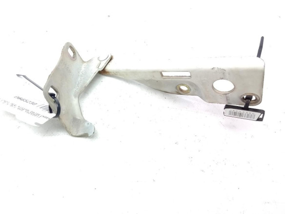 BISAGRA CAPO DER NISSAN PATHFINDER III (R51)|Desguaces La Cabaña