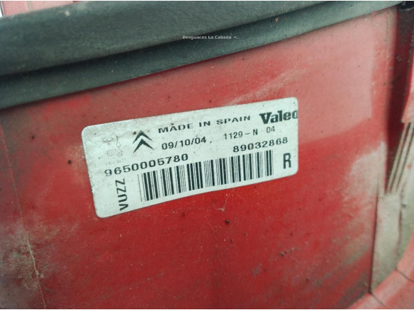 9650005780 PILOTO TRA DER EXT CITROEN XSARA PICASSO (N68)|Desguaces La Cabaña