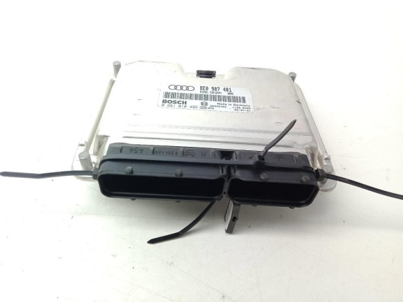 0281010492,8E0907401, CENTRALITA MOTOR AUDI A4 (8E2, B6)|Desguaces La Cabaña