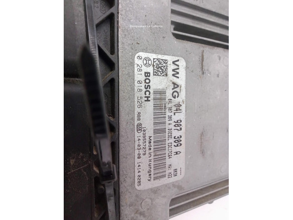04L906021ER CENTRALITA MOTOR AUDI A3 Sportback (8VA, 8VF)|Desguaces La Cabaña