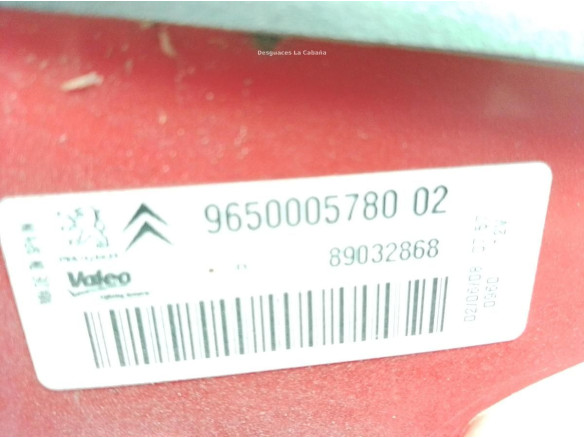 9650005780 PILOTO TRA DER EXT CITROEN XSARA PICASSO (N68)|Desguaces La Cabaña