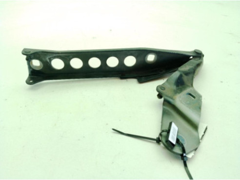 BISAGRA CAPO IZQ AUDI A8 (4H2, 4H8, 4HC, 4HL)|Desguaces La Cabaña