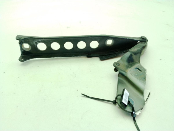 BISAGRA CAPO IZQ AUDI A8 (4H2, 4H8, 4HC, 4HL)|Desguaces La Cabaña