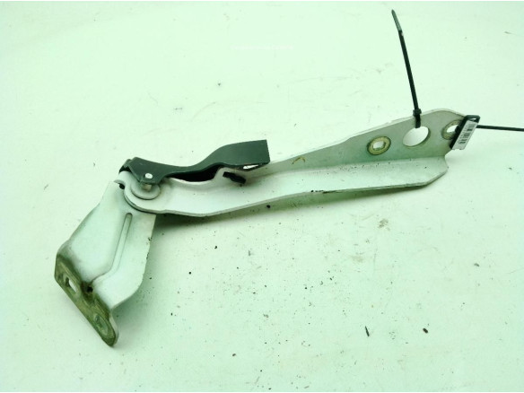 BISAGRA CAPO IZQ RENAULT MASTER III Caja/Chasis (EV, HV, UV)|Desguaces La Cabaña