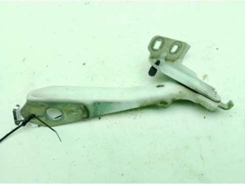 BISAGRA CAPO DER RENAULT MASTER III Caja/Chasis (EV, HV, UV)|Desguaces La Cabaña