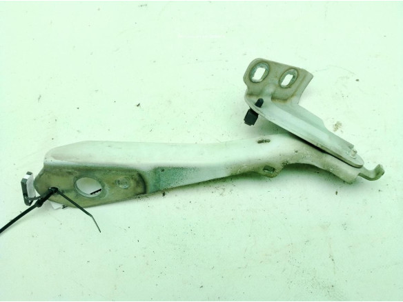 BISAGRA CAPO DER RENAULT MASTER III Caja/Chasis (EV, HV, UV)|Desguaces La Cabaña