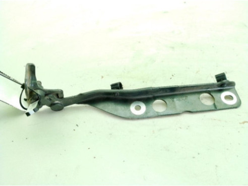 BISAGRA CAPO DERECHA|Desguaces La Cabaña 2