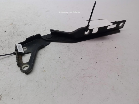 BISAGRA CAPO IZQ AUDI Q7 (4LB)|Desguaces La Cabaña