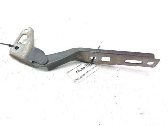 BISAGRA CAPO IZQ AUDI Q7 (4LB)|Desguaces La Cabaña