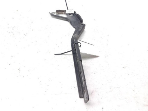 BISAGRA CAPO IZQ AUDI Q7 (4LB)|Desguaces La Cabaña