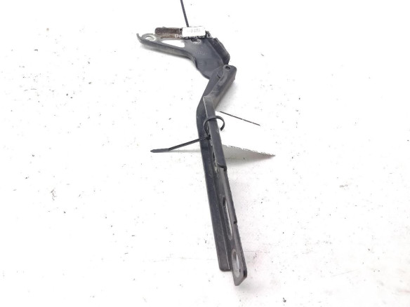 BISAGRA CAPO IZQ AUDI Q7 (4LB)|Desguaces La Cabaña