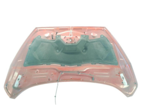 1907853 CAPO FORD C-MAX II (DXA/CB7, DXA/CEU)|Desguaces La Cabaña