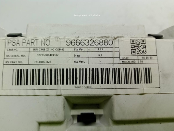 9666326880, CUADRO INSTRUMENTOS CITROEN C5 III (RD_)|Desguaces La Cabaña