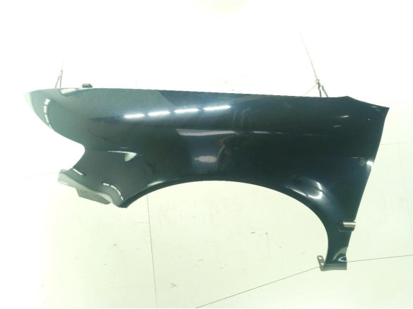 ALETA DEL IZQ VW PHAETON (3D1, 3D2, 3D3, 3D4, 3D6, 3D7, 3D8, 3D9)|Desguaces La Cabaña
