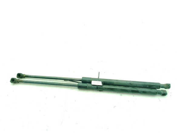 904528739R AMORTIGUADOR PORTON / TAPA MALETA RENAULT MEGANE IV (B9A/M_)|Desguaces La Cabaña