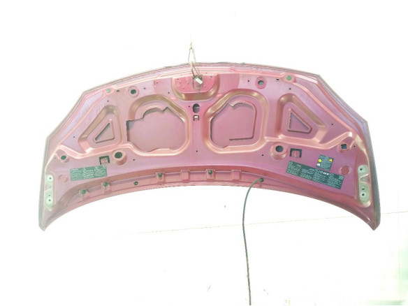 651003355R CAPO RENAULT TWINGO II (CN0_)|Desguaces La Cabaña