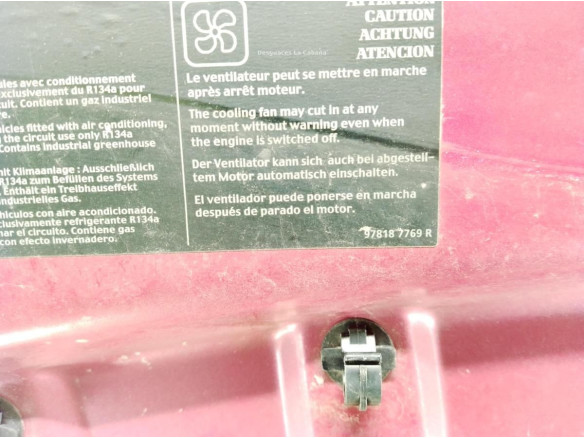 651003355R CAPO RENAULT TWINGO II (CN0_)|Desguaces La Cabaña