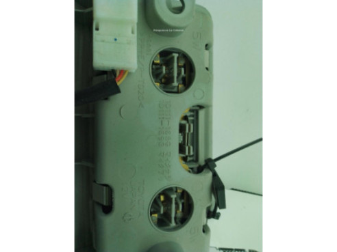 8120842010B0 PLAFON DEL TOYOTA RAV 4 IV (_A4_)|Desguaces La Cabaña