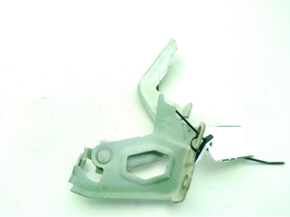   BISAGRA CAPO DER TOYOTA RAV 4 IV (_A4_)|Desguaces La Cabaña