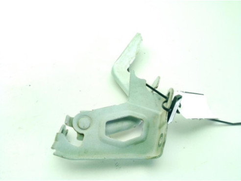   BISAGRA CAPO DER TOYOTA RAV 4 IV (_A4_)|Desguaces La Cabaña