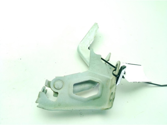   BISAGRA CAPO DER TOYOTA RAV 4 IV (_A4_)|Desguaces La Cabaña