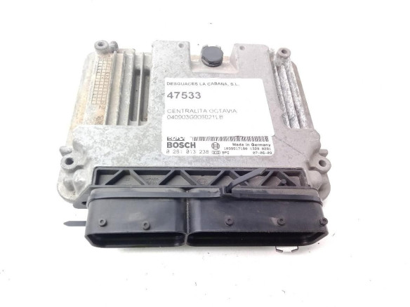 0281013238 CENTRALITA MOTOR SKODA OCTAVIA II (1Z3)|Desguaces La Cabaña