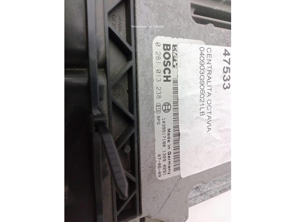 0281013238 CENTRALITA MOTOR SKODA OCTAVIA II (1Z3)|Desguaces La Cabaña