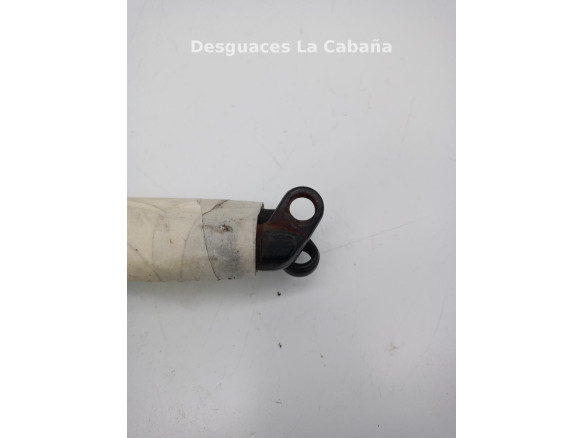 51248222913 AMORTIGUADOR PORTON / TAPA MALETA BMW 5 (E39)|Desguaces La Cabaña