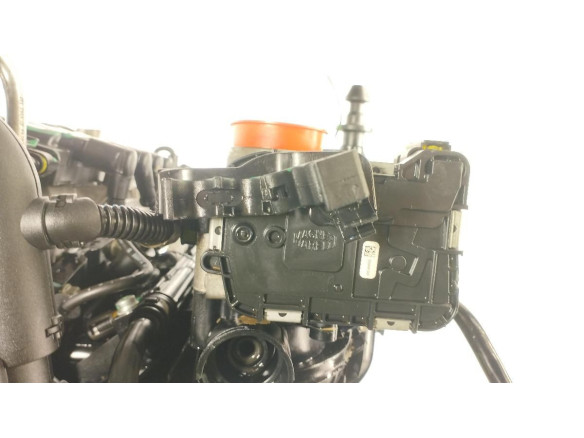 169A4000 MOTOR FORD KA (RU8)|Desguaces La Cabaña