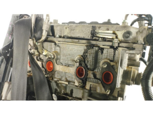 169A4000 MOTOR FORD KA (RU8)|Desguaces La Cabaña