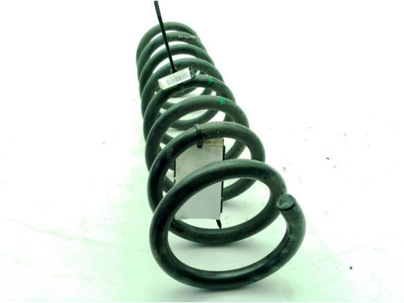   MUELLE SUSPENSION TRA IZQ FORD KUGA II (DM2)|Desguaces La Cabaña