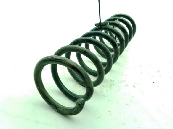  MUELLE SUSPENSION TRA IZQ FORD KUGA II (DM2)|Desguaces La Cabaña