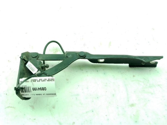   BISAGRA CAPO DER BMW 5 (E60)|Desguaces La Cabaña