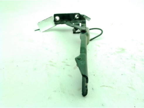   BISAGRA CAPO DER BMW 5 (E60)|Desguaces La Cabaña