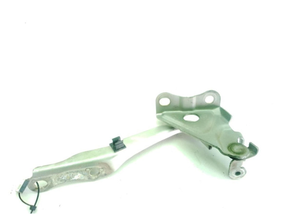   BISAGRA CAPO DER TOYOTA RAV 4 III (_A3_)|Desguaces La Cabaña