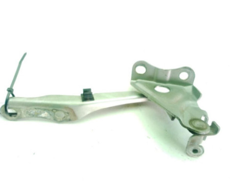   BISAGRA CAPO DER TOYOTA RAV 4 III (_A3_)|Desguaces La Cabaña