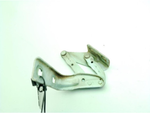 BISAGRA CAPO IZQUIERDA|Desguaces La Cabaña 2