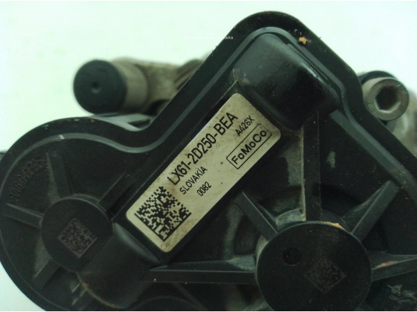   PINZA TRA DER FORD FOCUS IV (HN)|Desguaces La Cabaña