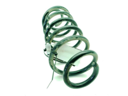   MUELLE SUSPENSION TRA IZQ FORD FOCUS IV (HN)|Desguaces La Cabaña