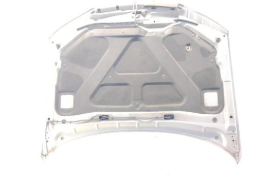   CAPO HYUNDAI SONATA V (NF)|Desguaces La Cabaña