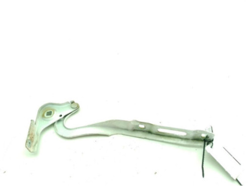 BISAGRA CAPO IZQUIERDA|Desguaces La Cabaña 2