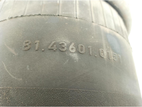 81436010151 BALONA SUSPENSION TRA IZQ MAN TGX II|Desguaces La Cabaña