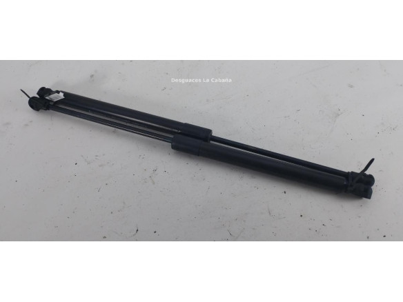 654707606R AMORTIGUADOR CAPO RENAULT MEGANE IV (B9A/M_)|Desguaces La Cabaña